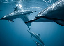 开运之路：以kaiyun点亮每一天的好运